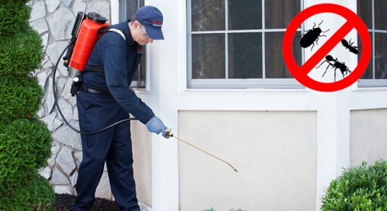 Kemah Gümüşkurt İlaçlama böcek ilaçlama ve haşere kontrolü — ilaclama-tr.com